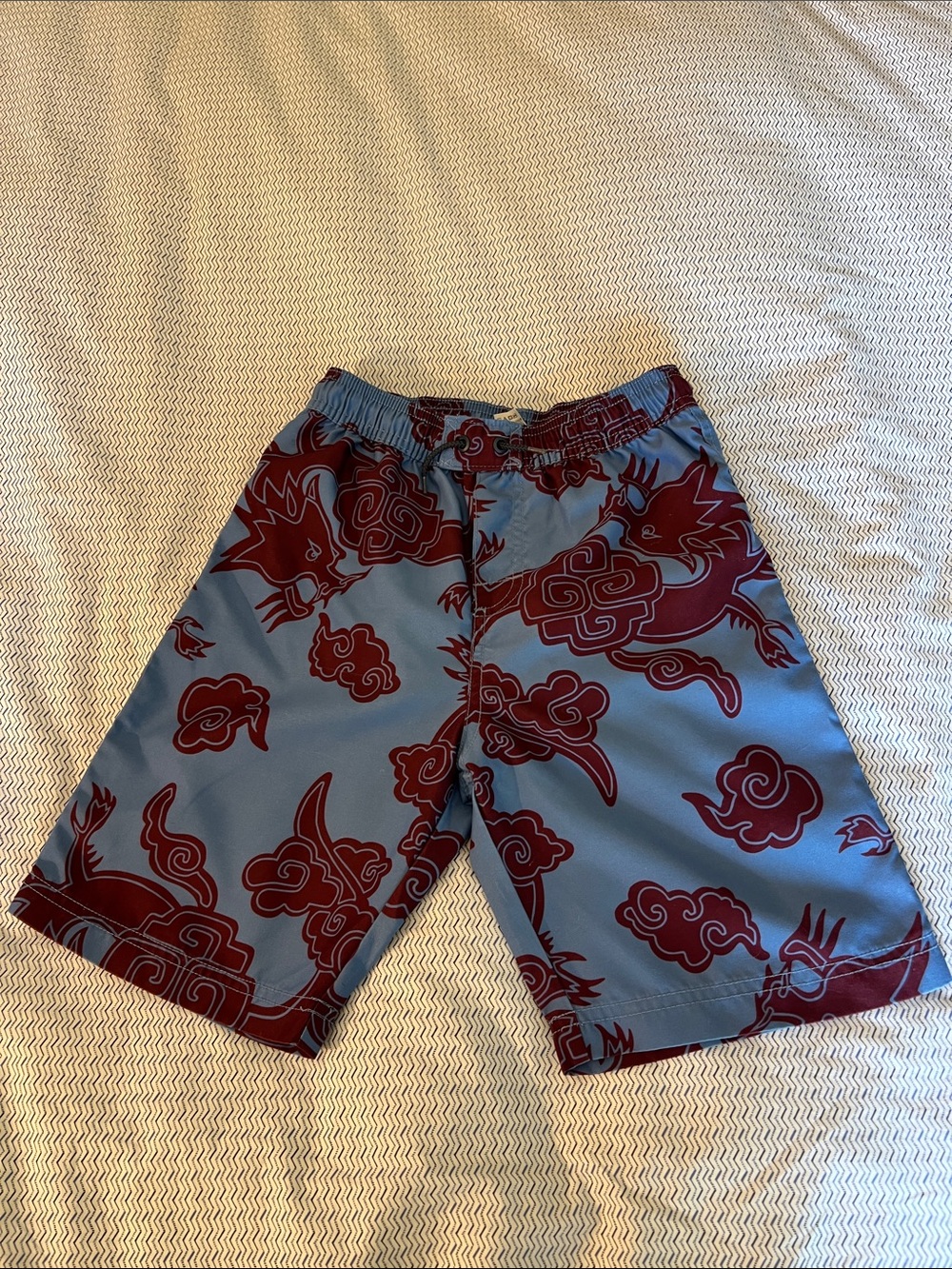 Tea Collection Blue and Maroon Dragon Swim Trunks